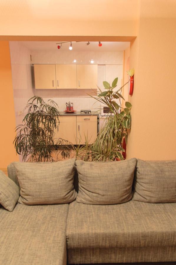 Kiev Central Apartment Buitenkant foto